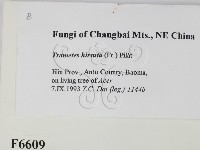 登錄號:F0006609藏品圖，第2張