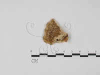 登錄號:F0006609藏品圖，第3張