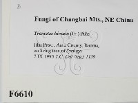 登錄號:F0006610藏品圖，第2張