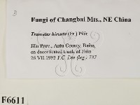 登錄號:F0006611藏品圖，第2張