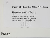 登錄號:F0006612藏品圖，第2張