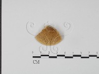 登錄號:F0006613藏品圖，第1張