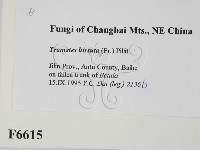 登錄號:F0006615藏品圖，第2張
