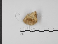 登錄號:F0006616藏品圖，第1張