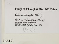 登錄號:F0006617藏品圖，第2張