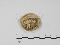 登錄號:F0006618藏品圖，第1張