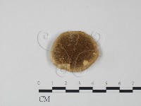 登錄號:F0006618藏品圖，第3張