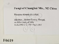 登錄號:F0006619藏品圖，第2張