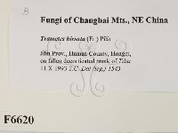 登錄號:F0006620藏品圖，第2張