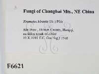 登錄號:F0006621藏品圖，第2張