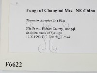 登錄號:F0006622藏品圖，第2張