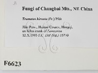 登錄號:F0006623藏品圖，第2張