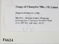 登錄號:F0006624藏品圖，第2張