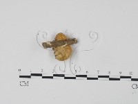 登錄號:F0006624藏品圖，第3張