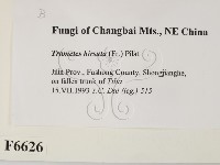 登錄號:F0006626藏品圖，第2張