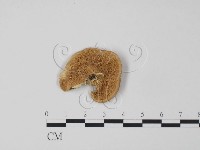 登錄號:F0006626藏品圖，第3張