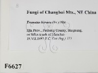 登錄號:F0006627藏品圖，第2張