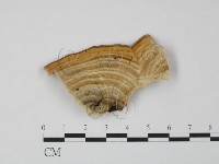 登錄號:F0006627藏品圖，第3張