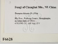 登錄號:F0006628藏品圖，第2張