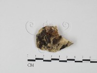 登錄號:F0006628藏品圖，第3張