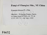 登錄號:F0006632藏品圖，第2張