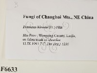 登錄號:F0006633藏品圖，第2張