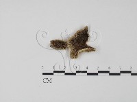 登錄號:F0006633藏品圖，第1張