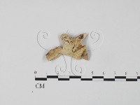 登錄號:F0006633藏品圖，第3張