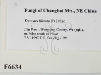 登錄號:F0006634藏品圖，第2張