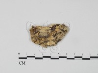 登錄號:F0006634藏品圖，第3張