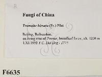 登錄號:F0006635藏品圖，第2張