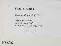 登錄號:F0006636藏品圖，第2張