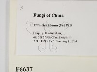 登錄號:F0006637藏品圖，第2張