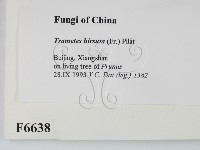 登錄號:F0006638藏品圖，第2張