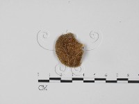 登錄號:F0006638藏品圖，第3張