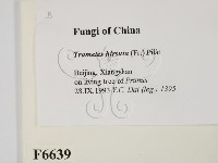 登錄號:F0006639藏品圖，第2張