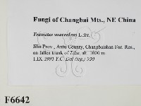 登錄號:F0006642藏品圖，第2張