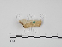 登錄號:F0006642藏品圖，第1張