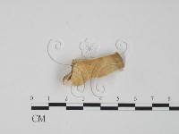 登錄號:F0006642藏品圖，第3張