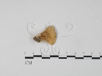 登錄號:F0006643藏品圖，第1張