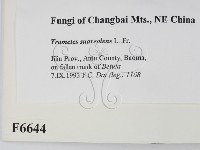 登錄號:F0006644藏品圖，第2張