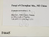 登錄號:F0006645藏品圖，第2張