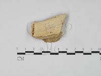 登錄號:F0006645藏品圖，第3張