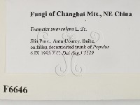 登錄號:F0006646藏品圖，第2張