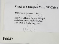 登錄號:F0006647藏品圖，第2張