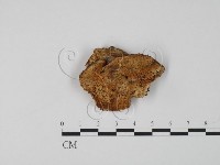 登錄號:F0006647藏品圖，第1張