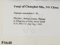 登錄號:F0006648藏品圖，第2張