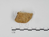 登錄號:F0006648藏品圖，第3張