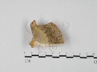 登錄號:F0006649藏品圖，第1張