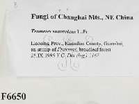 登錄號:F0006650藏品圖，第2張